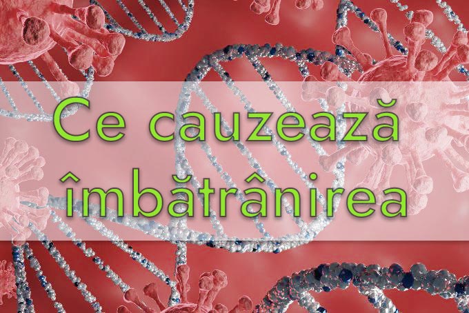 ce cauzeaza imabtranirea - ilustratie celule cu text overlay