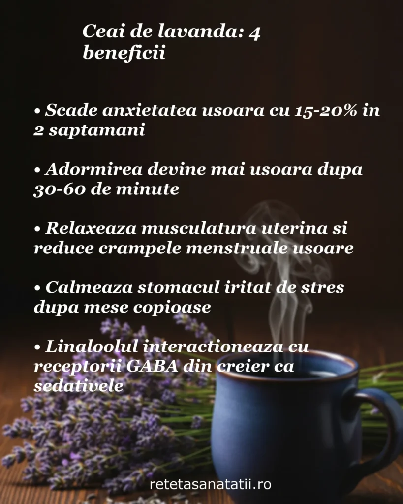 Infografic cu 5 beneficii ale ceaiului de lavandă: scade anxietatea cu 15-20%, ușurează adormirea, relaxează musculatura uterină, calmează stomacul iritat, și linaloolul interacționează cu receptorii GABA
