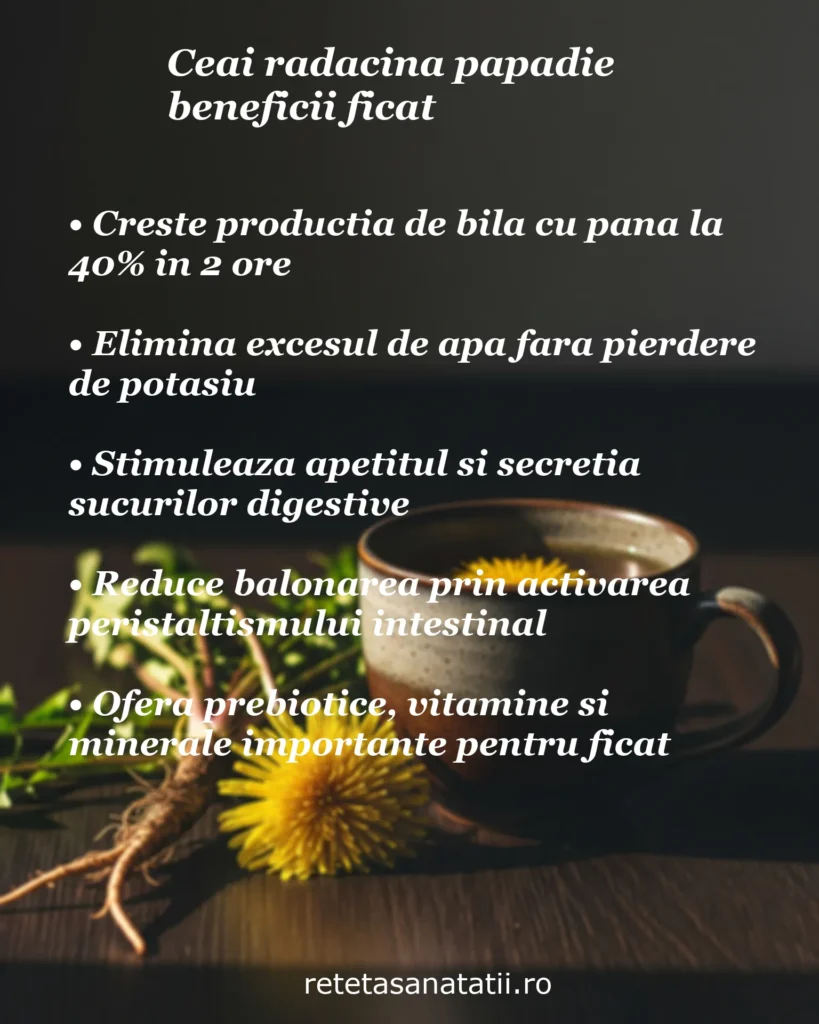 Infografic cu 5 beneficii ale ceaiului de rădăcină de păpădie: crește bila cu 40%, elimină excesul de apă, stimulează apetitul, reduce balonarea, și oferă prebiotice și vitamine