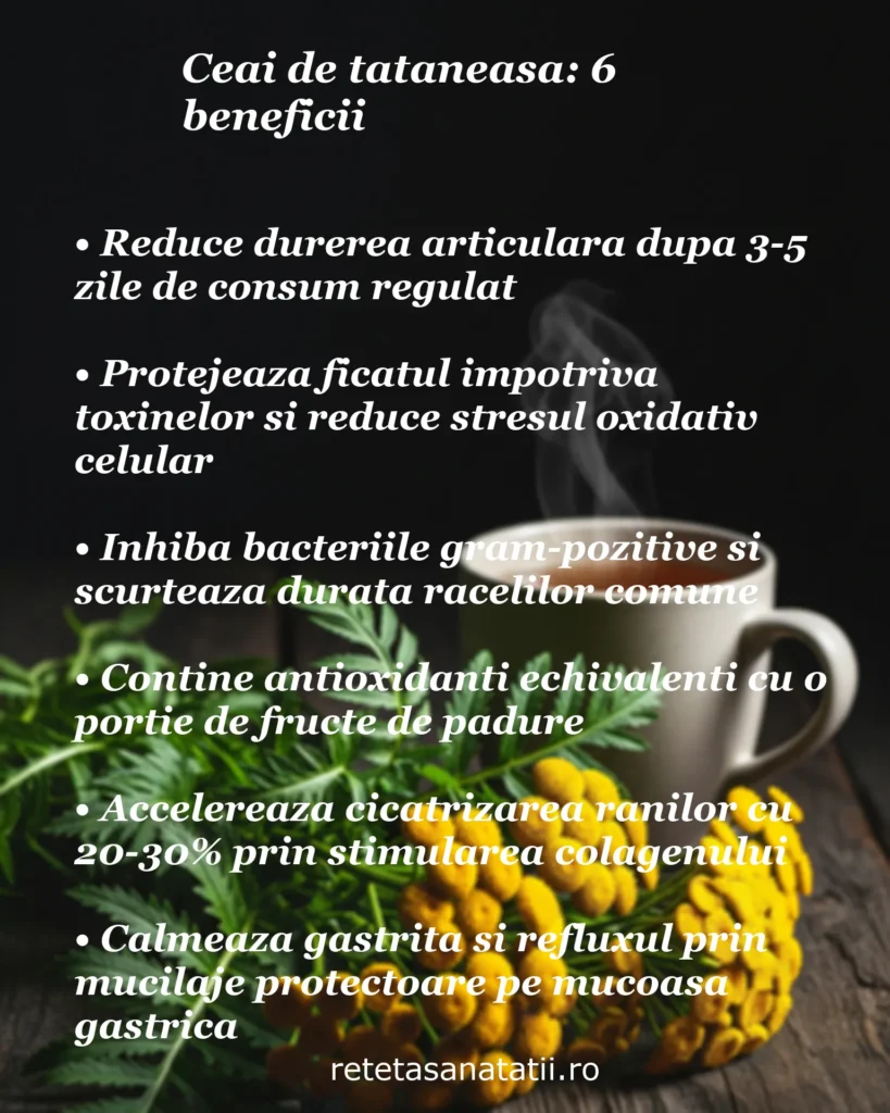 Infografic despre beneficiile ceaiului de tătăneasă lângă o cană cu ceai fierbinte și plante medicinale, evidențiind efecte pentru dureri articulare, ficat, răceală și digestie