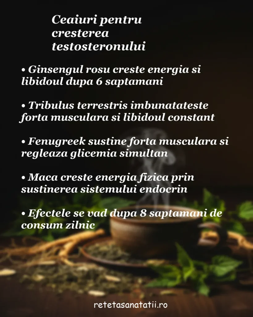 Infografic despre ceaiuri pentru creșterea testosteronului: ginseng roșu, tribulus terrestris, fenugreek și maca, pe fundal cu cană de ceai aburind, rădăcini și plante medicinale uscate.