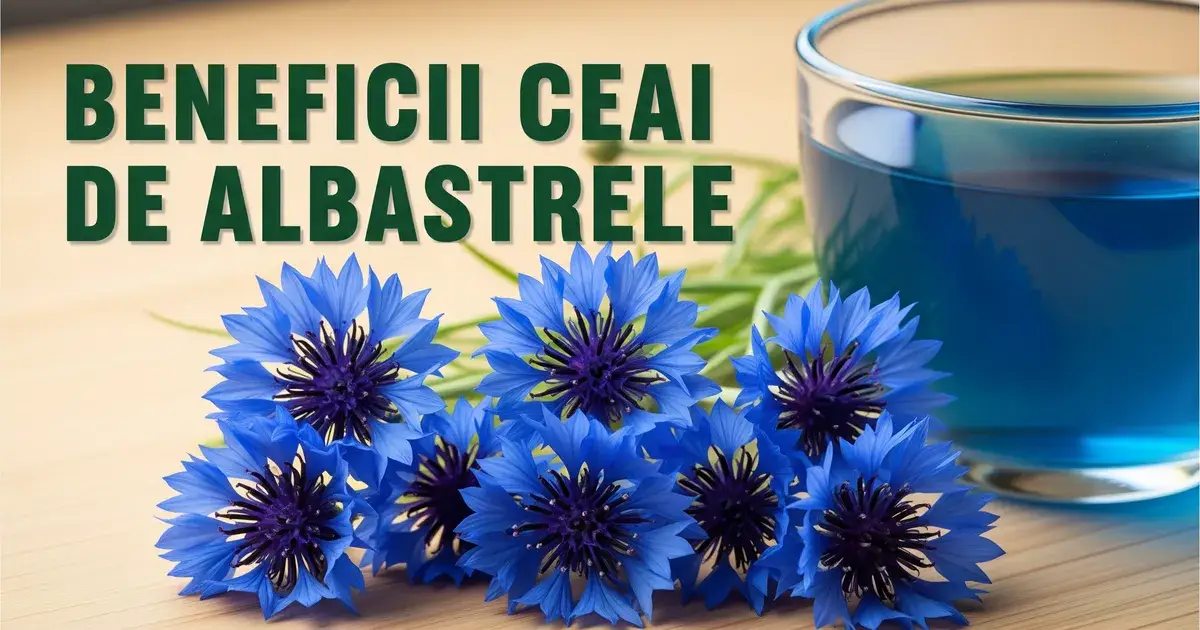 Beneficii ceai de albăstrele: pentru ochi și digestie