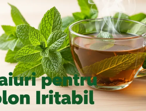 Ceaiuri pentru colon iritabil: 7 plante eficiente și preparare