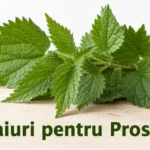 7 ceaiuri pentru prostată care funcționează
