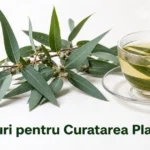 7 ceaiuri pentru curățarea plămânilor care funcționează
